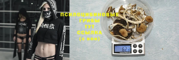 амфетамин Новозыбков