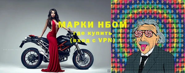 молекула духа Горнозаводск