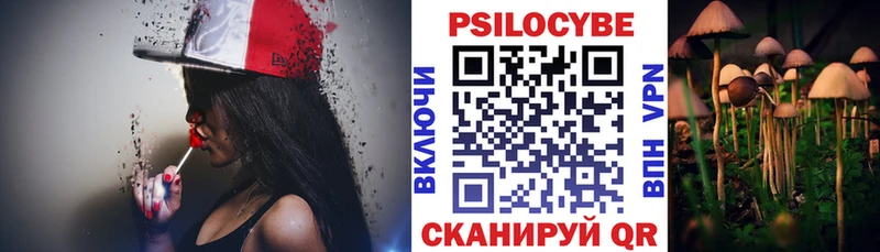 где купить наркоту  Каргополь  Галлюциногенные грибы Psilocybe 