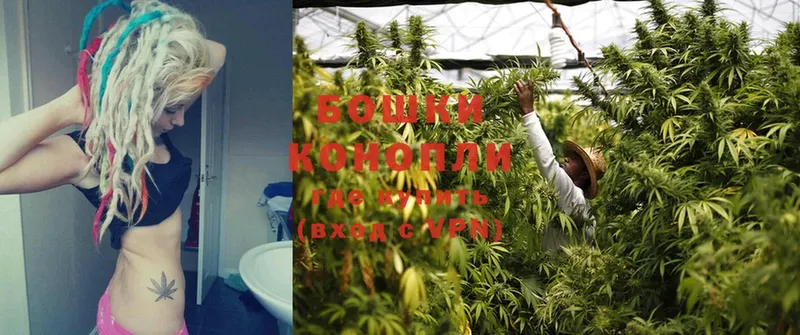 МАРИХУАНА SATIVA & INDICA  Каргополь 